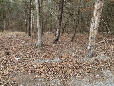 Campground for Sale in New Tazewell, TN - image 8
