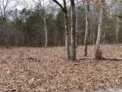 Campground for Sale in New Tazewell, TN - image 7