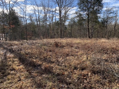 Campground for Sale in New Tazewell, TN - image 15