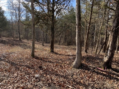Campground for Sale in New Tazewell, TN - image 11