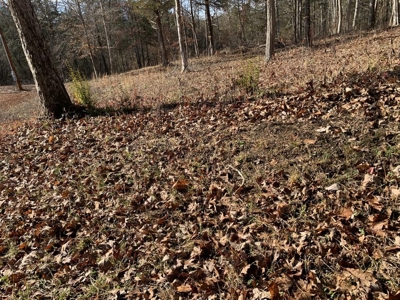 Campground for Sale in New Tazewell, TN - image 16