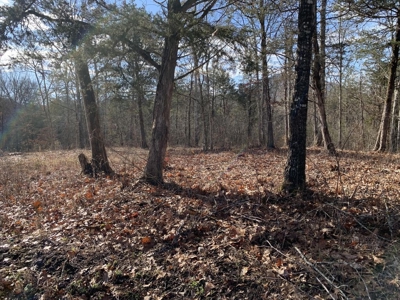 Campground for Sale in New Tazewell, TN - image 13