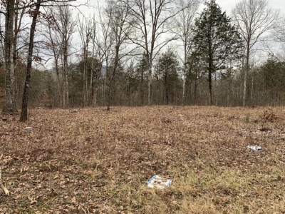 Campground for Sale in New Tazewell, TN - image 5