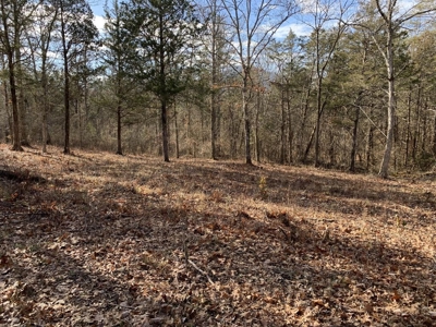 Campground for Sale in New Tazewell, TN - image 12