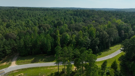 Tennessee Land For Sale in the Indian Lake Community - image 2