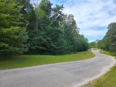 Tennessee Land For Sale in the Indian Lake Community - image 1