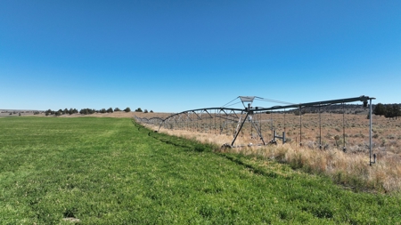 Eastern Oregon Wrights Farm - image 6