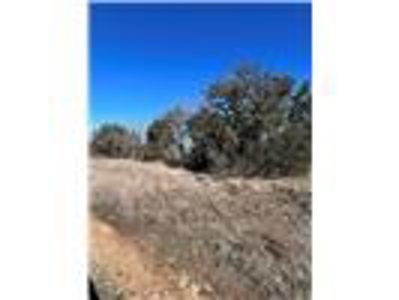 Lake View near the Golf Course At Lake Brownwood - image 3