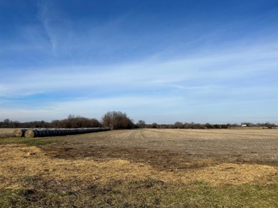 Vernon County Missouri Crop Land For Sale, Sheldon, MO - image 8