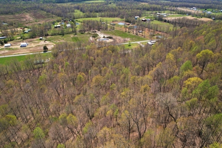 191+/- Acres - Marketable Timber - New Survey - Columbia, Ky - image 7