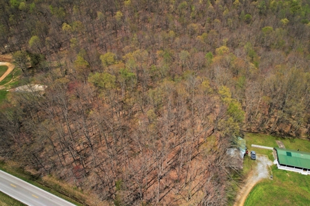 191+/- Acres - Marketable Timber - New Survey - Columbia, Ky - image 4