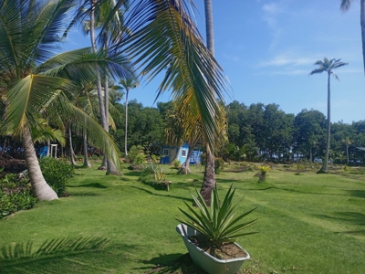 Waterfront Family Compound for Sale, Bocas del Toro, Panama - image 50