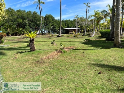 Waterfront Family Compound for Sale, Bocas del Toro, Panama - image 27