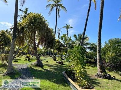 Waterfront Family Compound for Sale, Bocas del Toro, Panama - image 23