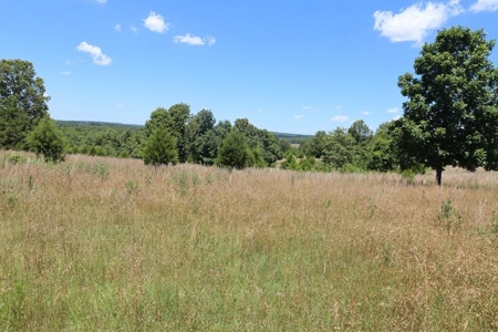 Explore Your Dream Homestead in South Central Missouri - image 1