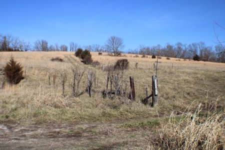 Explore Your Dream Homestead in South Central Missouri - image 4