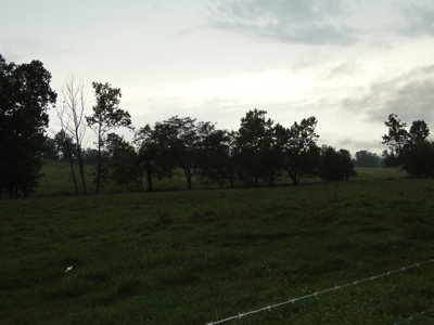 Land for sale in Ava, Mo. - image 4