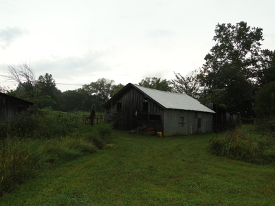 Land for sale in Ava, Mo. - image 6