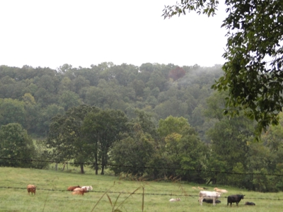 Land for sale in Ava, Mo. - image 1