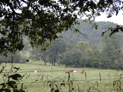 Land for sale in Ava, Mo. - image 14