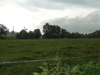 Land for sale in Ava, Mo. - image 3