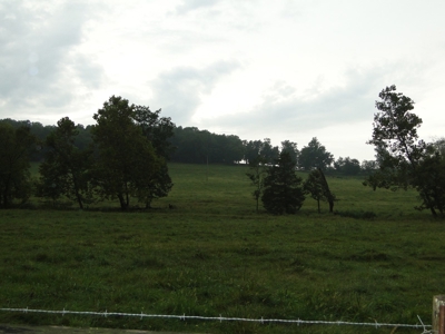 Land for sale in Ava, Mo. - image 5