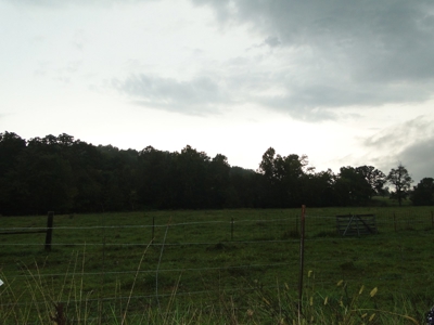 Land for sale in Ava, Mo. - image 2