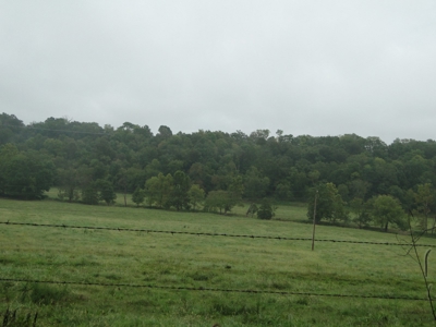 Land for sale in Ava, Mo. - image 13