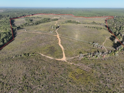 Timberland For Sale, Jasper County, Tx, By Sealed Bid - image 1