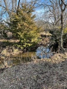 Kansas Land for Sale 315.06 Acres +/- Rosalia KS - image 32
