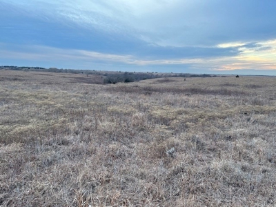 Kansas Land for Sale 315.06 Acres +/- Rosalia KS - image 21