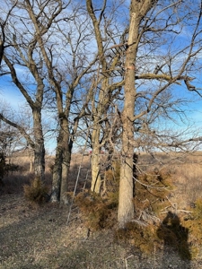 Kansas Land for Sale 315.06 Acres +/- Rosalia KS - image 34