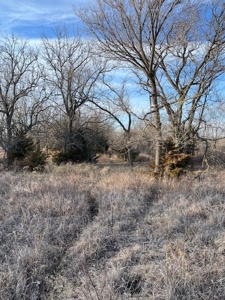 Kansas Land for Sale 315.06 Acres +/- Rosalia KS - image 33