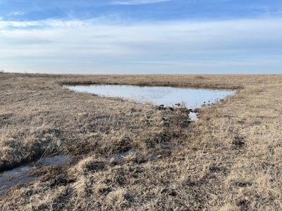 Kansas Land for Sale 315.06 Acres +/- Rosalia KS - image 24