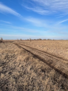 Kansas Land for Sale 315.06 Acres +/- Rosalia KS - image 37