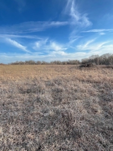 Kansas Land for Sale 315.06 Acres +/- Rosalia KS - image 35