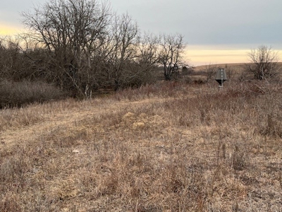 Kansas Land for Sale 315.06 Acres +/- Rosalia KS - image 16