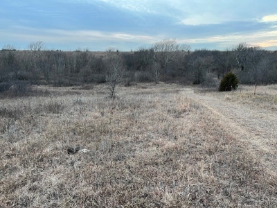 Kansas Land for Sale 315.06 Acres +/- Rosalia KS - image 22