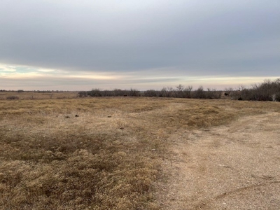 Kansas Land for Sale 315.06 Acres +/- Rosalia KS - image 15