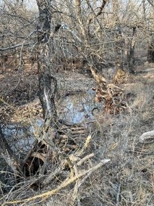 Kansas Land for Sale 315.06 Acres +/- Rosalia KS - image 42