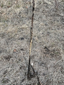 Kansas Land for Sale 315.06 Acres +/- Rosalia KS - image 18