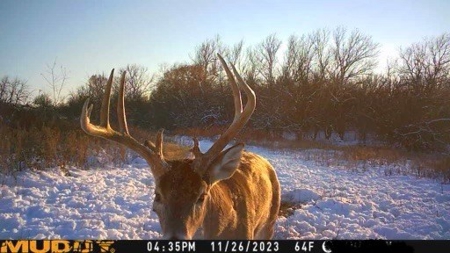 Kansas Land for Sale 315.06 Acres +/- Rosalia KS - image 10