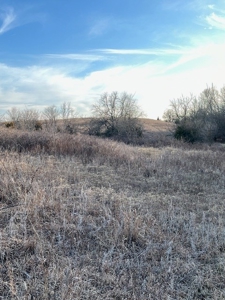 Kansas Land for Sale 315.06 Acres +/- Rosalia KS - image 44