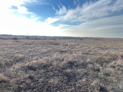 Kansas Land for Sale 315.06 Acres +/- Rosalia KS - image 25