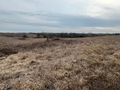 Kansas Land for Sale 315.06 Acres +/- Rosalia KS - image 23