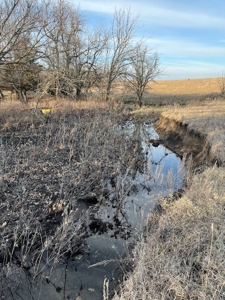 Kansas Land for Sale 315.06 Acres +/- Rosalia KS - image 30
