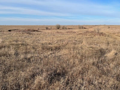 Kansas Land for Sale 315.06 Acres +/- Rosalia KS - image 28