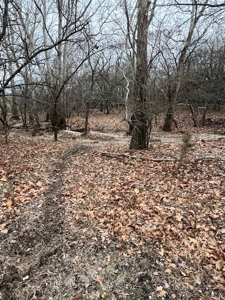 Kansas Land for Sale 315.06 Acres +/- Rosalia KS - image 19