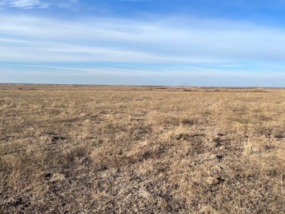 Kansas Land for Sale 315.06 Acres +/- Rosalia KS - image 26