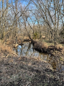 Kansas Land for Sale 315.06 Acres +/- Rosalia KS - image 31
